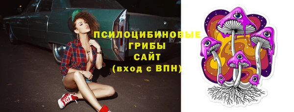 дмт Алексин