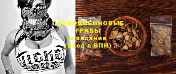 дурь Абинск