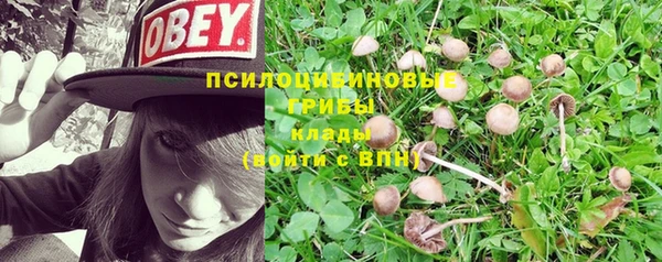 дмт Алексин