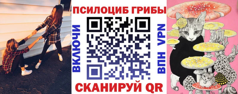 Галлюциногенные грибы Psilocybine cubensis  Саянск 