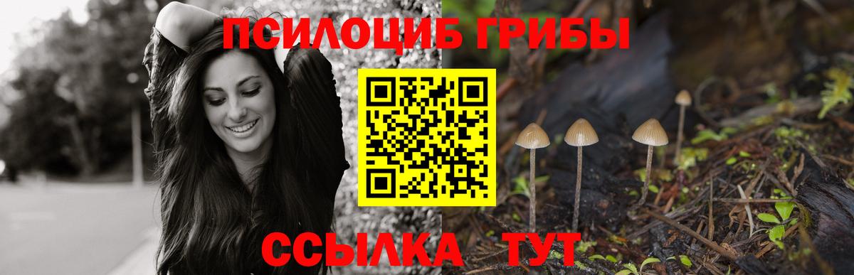 Саянск  Галлюциногенные грибы Magic Shrooms  Вход с VPN 